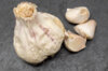 Garlic bulbs - White Garlic Bulbs "Thermidrome" AB - 250 g - Allium sativum