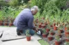 Planting tools - Great Dixter" pointed spade 56 cm