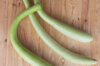 Gourds - Cucuzza Longa Serpente