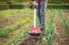 Tools for working the soil - Biocultivator Fairtill