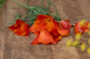California poppies - Mikado Red