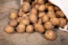 Potatoes - Organic Bintje potato - size 28/35 Organic Bintje potato 25 plants