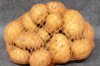 Potatoes - Organic Bintje potato - size 28/35 Organic Bintje potato 25 plants
