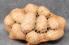 Potatoes - Rosabelle organic potato - size 25/35 Rosabelle organic potato 25 plants