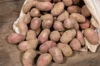 Potatoes - Organic Cheyenne potato - size 28/30 Organic Cheyenne potato 25 plants