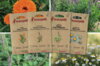 Fertile Assortments - Herbal teas - 4 organic seed packets to sow