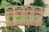 Fertile Assortments - Asian flavours - 4 organic seed packets to sow