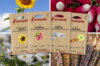 Fertile Assortments - Children's vegetable garden - 4 packets of organic seeds to sow