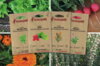 Fertile Assortments - Balcony garden - 4 organic seed packets to sow