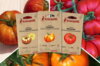 Fertile Assortments - Tomatoes for salad - 3 organic seed packets for sowing