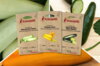 Fertile Assortments - Zucchinis Colorées - 3 organic seed packets for sowing