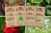 Fertile Assortments - Mes semis de janvier - 4 packets of organic seeds to sow