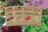 Fertile Assortments - My February seedlings - 4 packets of organic seeds to sow