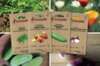 Fertile Assortments - Mes semis de juin - 4 packets of organic seeds to sow