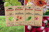 Fertile Assortments - Mes semis de juillet - 4 packets of organic seeds to sow