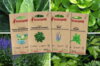 Fertile Assortments - Mes semis d'août - 4 packets of organic seeds to sow