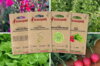 Fertile Assortments - Mes semis de septembre - 4 packets of organic seeds to sow