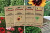 Fertile Assortments - My November seedlings - 4 packets of organic seeds to sow