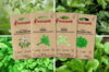 Fertile Assortments - Mes semis de décembre - 4 organic seed packets to sow