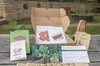 Seeds boxes - Seed box - Permaculture