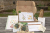 Seeds boxes - Box of seeds - Herbal teas