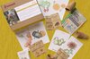 Seeds boxes - Seed box - Children