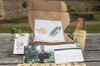 Seeds boxes - Box de graines - Box Grow Your own Food on your balcony