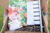 Seeds boxes - Box - Starting seedlings and becoming self-sufficient
