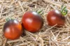 Cherry tomatoes - Blue Chocolate