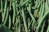 Common beans - Slenderette