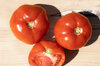Tomatoes - Gloire de Malines
