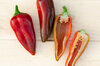 Peppers - Stocky Red Roaster