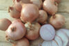 Onions - Rosé d'Armorique