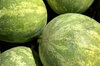 Watermelons - Déhibé