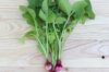 Radish - National 3