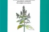 Plant Knowledge - Mint