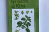 Plant Knowledge - Vol. 1 - The Secrets of Nettle