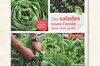 Organic garden - Salads all year round in my garden. Lettuces, mescluns, endives...