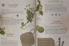 Plant Knowledge - Mon cahier de Tisanes