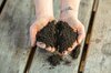 Clean up & improve soil - Vermicompost 3 000 g