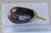 Eggplants - Imperial Black Beauty