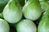 Eggplants - Thai Round Green