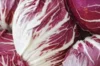 Curly endive - Verona Red