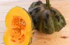 Moschata squash - Musquée du Maroc