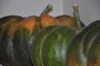 Moschata squash - Musquée de Provence