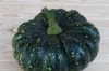 Moschata squash - Thai Kang Kob