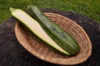 Zucchinis - Nimba