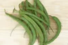 Common beans - Fin de Bagnol