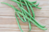 Common beans - Vert d'Autan