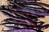 Common beans - Blauhilde